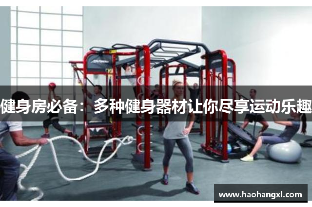 健身房必备：多种健身器材让你尽享运动乐趣